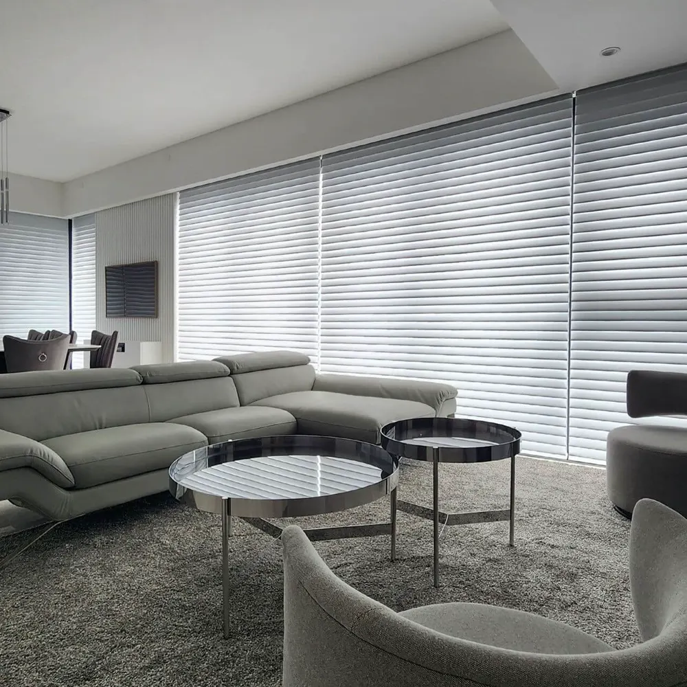 Living con cortinas Silhouette